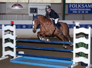 20080405_155836 Johanna Lassnack Jupiter